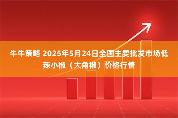牛牛策略 2025年5月24日全国主要批发市场低辣小椒（大角椒）价格行情