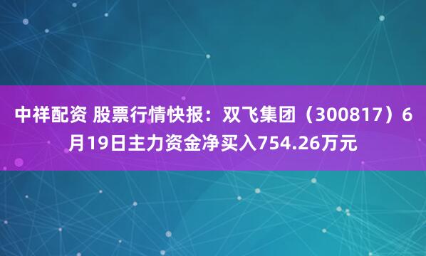 中祥配资 股票行情快报：双飞集团（300817）6月19日主力资金净买入754.26万元